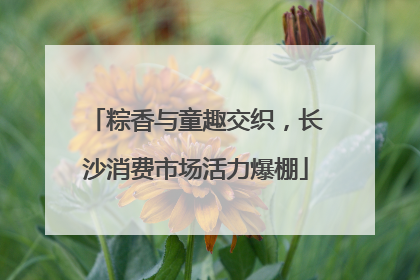 粽香与童趣交织，长沙消费市场活力爆棚