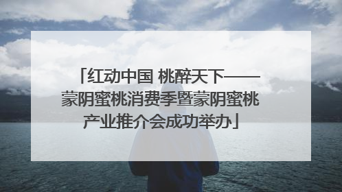 红动中国 桃醉天下——蒙阴蜜桃消费季暨蒙阴蜜桃产业推介会成功举办