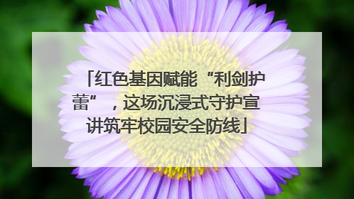 红色基因赋能“利剑护蕾”，这场沉浸式守护宣讲筑牢校园安全防线