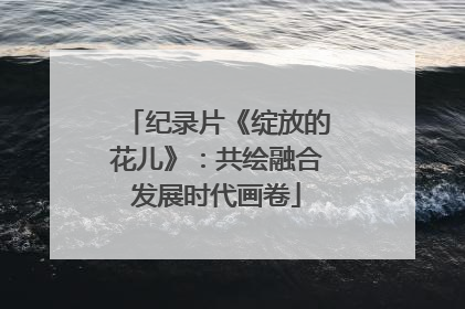 纪录片《绽放的花儿》：共绘融合发展时代画卷