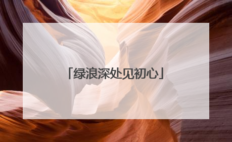 绿浪深处见初心