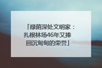 绿荫深处文明家：扎根林场46年又捧回沉甸甸的荣誉