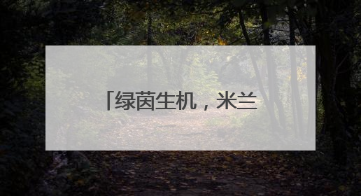 绿茵生机，米兰体育与阿拉维斯竞技达成合作