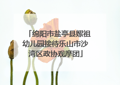 绵阳市盐亭县嫘祖幼儿园接待乐山市沙湾区政协观摩团