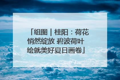 组图｜桂阳：荷花悄然绽放 碧波荷叶绘就美好夏日画卷