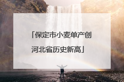 保定市小麦单产创河北省历史新高