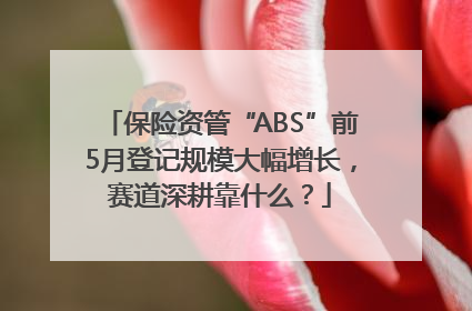保险资管“ABS”前5月登记规模大幅增长，赛道深耕靠什么？