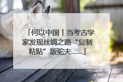 何以中国丨当考古学家发现丝绸之路“复制粘贴”版驼夫……