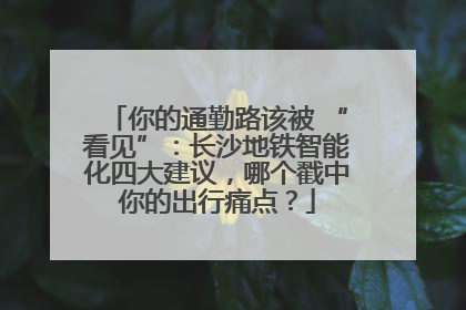 你的通勤路该被 “看见”：长沙地铁智能化四大建议，哪个戳中你的出行痛点？