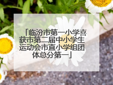 临汾市第一小学喜获市第二届中小学生运动会市直小学组团体总分第一