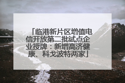 临港新片区增值电信开放第二批试点企业授牌：新增高济健康、科戈波特两家