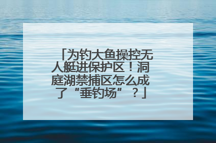 为钓大鱼操控无人艇进保护区！洞庭湖禁捕区怎么成了“垂钓场”？