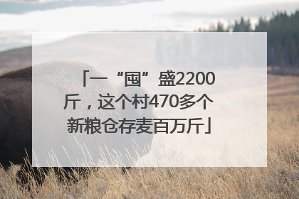一“囤”盛2200斤，这个村470多个新粮仓存麦百万斤