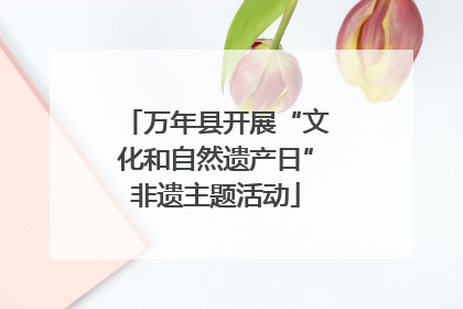 万年县开展“文化和自然遗产日”非遗主题活动
