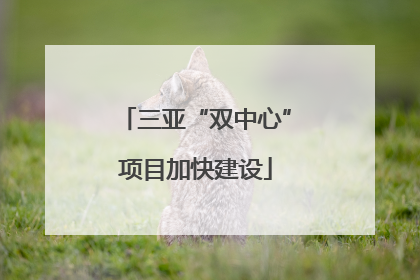 三亚“双中心”项目加快建设