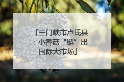 三门峡市卢氏县：小香菇“链”出国际大市场