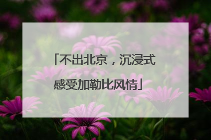 不出北京，沉浸式感受加勒比风情