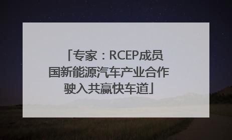 专家：RCEP成员国新能源汽车产业合作驶入共赢快车道