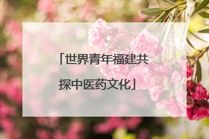 世界青年福建共探中医药文化