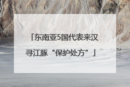 东南亚5国代表来汉寻江豚“保护处方”