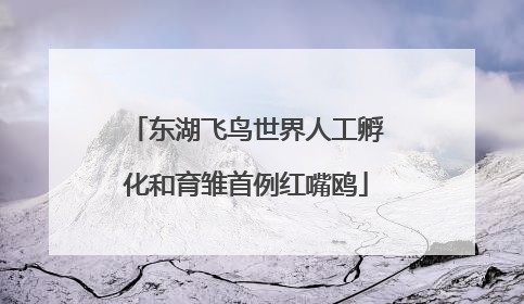 东湖飞鸟世界人工孵化和育雏首例红嘴鸥