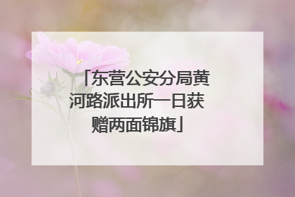 东营公安分局黄河路派出所一日获赠两面锦旗