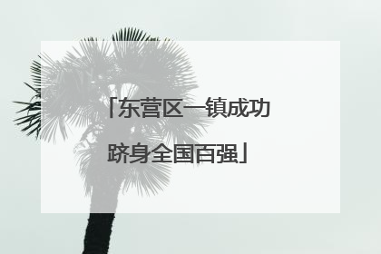 东营区一镇成功跻身全国百强
