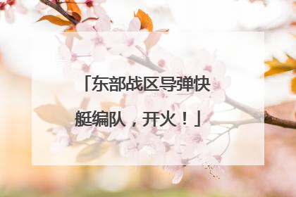 东部战区导弹快艇编队，开火！