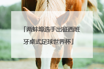 两蚌埠选手出征西班牙桌式足球世界杯
