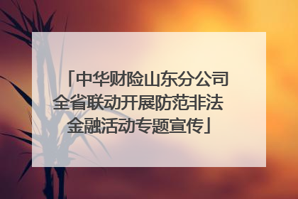 中华财险山东分公司全省联动开展防范非法金融活动专题宣传