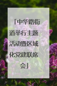 中华路街道举行主题活动暨区域化党建联席会