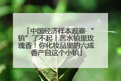 中国经济样本观察·“镇”了不起丨苦水镇里玫瑰香！你化妆品里的六成香产自这个小镇