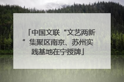 中国文联“文艺两新”集聚区南京、苏州实践基地在宁授牌