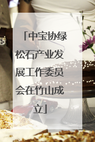 中宝协绿松石产业发展工作委员会在竹山成立
