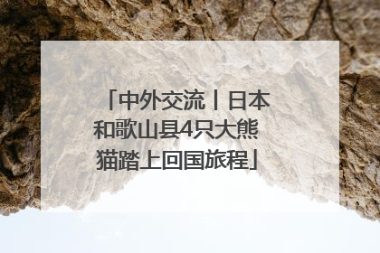 中外交流丨日本和歌山县4只大熊猫踏上回国旅程
