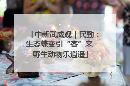 中新武威观｜民勤：生态蝶变引“客”来 野生动物乐逍遥