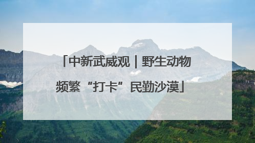 中新武威观｜野生动物频繁“打卡”民勤沙漠
