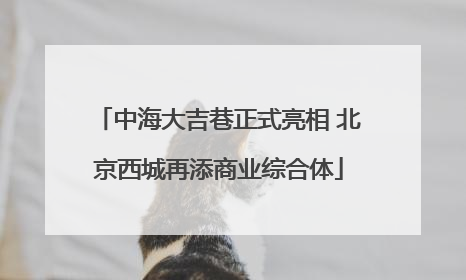 中海大吉巷正式亮相 北京西城再添商业综合体