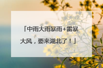 中雨大雨暴雨+雷暴大风，要来湖北了！