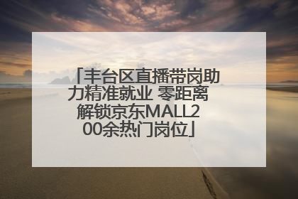 丰台区直播带岗助力精准就业 零距离解锁京东MALL200余热门岗位