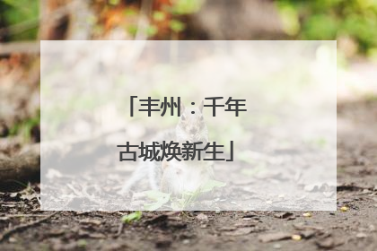 丰州：千年古城焕新生