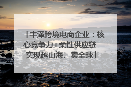 丰泽跨境电商企业：核心竞争力+柔性供应链 实现越山海、卖全球