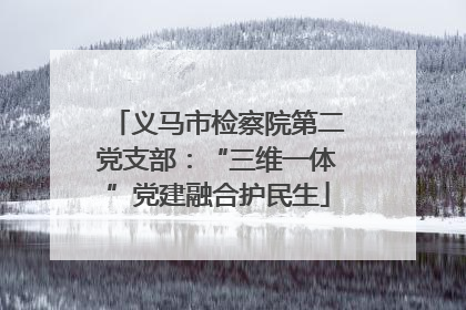 义马市检察院第二党支部：“三维一体”党建融合护民生