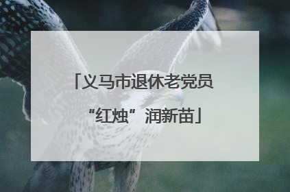 义马市退休老党员“红烛”润新苗