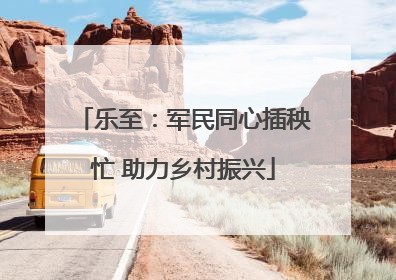 乐至：军民同心插秧忙 助力乡村振兴