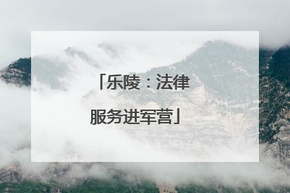 乐陵：法律服务进军营