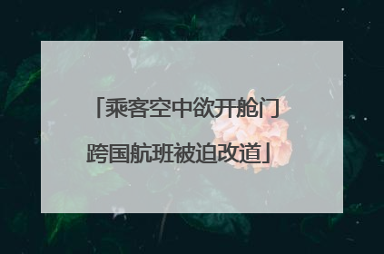 乘客空中欲开舱门 跨国航班被迫改道