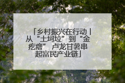 乡村振兴在行动丨从“土坷垃”到“金疙瘩” 卢龙甘薯串起富民产业链