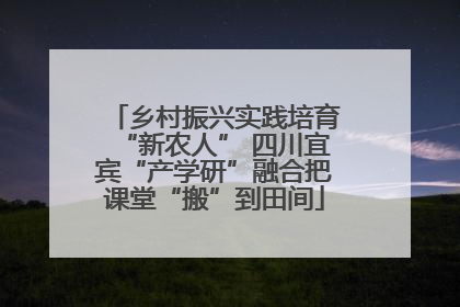 乡村振兴实践培育“新农人” 四川宜宾“产学研”融合把课堂“搬”到田间