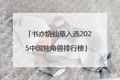 书亦烧仙草入选2025中国独角兽排行榜